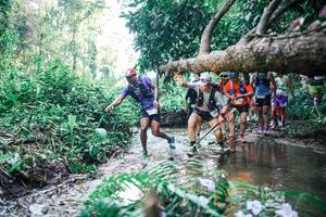 BIB: 
                            <button type="button" onclick="openModal(25449803)" class="btn btn-primary btn-sm float-right btn-popup" data-toggle="modal" data-target=".modal-high-quality">
                        <i class="fas fa-shopping-cart"></i> Add to Cart
                    </button>
                                            <button type="button" onclick="isThisMe(25449803, true)" class="btn btn-success btn-sm float-right btn-popup btn-isme hidden" data-toggle="tooltip" data-placement="bottom" title="นี่คือรูปของคุณใช่ไหม คลิกที่นี่เพื่อเอาเข้าอัลบั้ม">
                        <i class="fas fa-plus"></i> Add to album
                    </button>
                    <button type="button" onclick="isThisMe(25449803, false)" class="btn btn-warning btn-sm float-right btn-popup btn-isnotme hidden">
                        <i class="fas fa-ban"></i> Remove from album
                    </button>